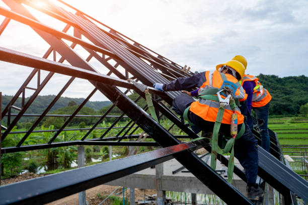 Best Roof Gutter Cleaning  in Thomson, GA